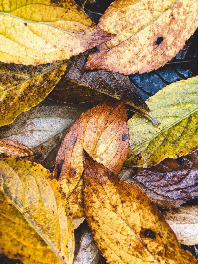 Atputas Vieta Braltirumi Purciems Eksteriør bilde