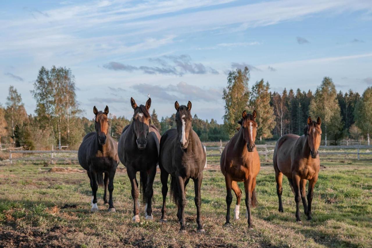 Atputas Vieta Braltirumi Purciems Eksteriør bilde